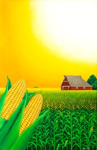 Campo di mais del Nebraska, 1993